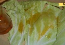 როგორ მოვიშოროთ ხველა კომბოსტოს ფოთლით? ეს მარტივი პროცედურა სრულიად გაგიქრობთ ხველას