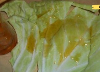 როგორ მოვიშოროთ ხველა კომბოსტოს ფოთლით? ეს მარტივი პროცედურა სრულიად გაგიქრობთ ხველას