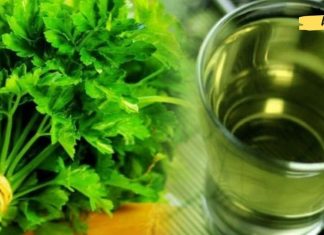 გაწუხებთ თირკმლებში ქვები? აი როგორ უნდა გაწმინდოთ