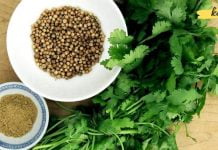 მოიშუშეთ თქვენი პანკრეასი და ღვიძლი მხოლოდ 1 ბუნებრივი ინგრედიენტით!!