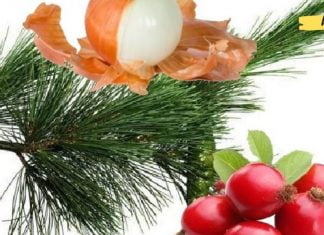 შესანიშნავი რეცეპტი ჰიპერტონიული პაციენტებისთვის