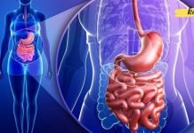 ეს 2 საკვები ეხმარება ნაწლავების სწრაფ დეტოქსიკაციას