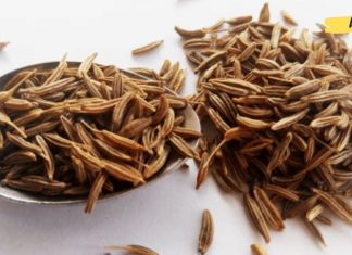 ყელის ტკივილის მკურნალობა მონღოლური რეცეპტით! ეს ჯერ კიდევ ბევრმა არიცის