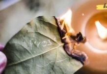 დაფნის წარმოუდგენელი სარგებელი და გამოყენება. ეს ინფორმაცია უკლებლივ ყველას გამოადგება!!