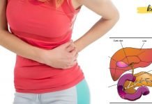 რა არის ნაღვლის სტაზია: ეს ძალიან მნიშვნელოვანია