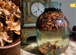 კაკლის უღელი გაგათავისუფლებთ ჩიყვისგან. ეს აქამდე უნდა მცოდნოდა