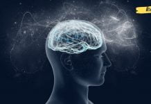 ვარჯიშები ცერებრალური მიმოქცევის გასაუმჯობესებლად