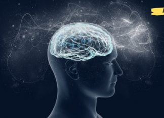 ვარჯიშები ცერებრალური მიმოქცევის გასაუმჯობესებლად