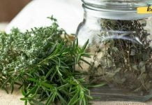 მარტივად მოიცილეთ სპაზმები და გააძლიერეთ სისხლძარღვები!!