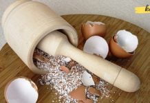 ბუნებრივი კალციუმი ფარისებრი ჯირკვლის პრობლემების, სისხლის გამწმენდისა და სახსრების ტკივილის დროს!