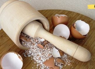 ბუნებრივი კალციუმი ფარისებრი ჯირკვლის პრობლემების, სისხლის გამწმენდისა და სახსრების ტკივილის დროს!