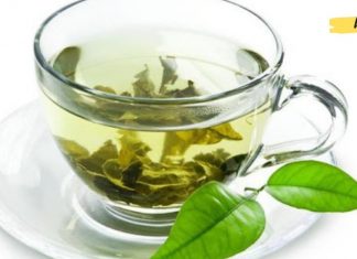 პროდუქტები, რომელიც შესანიშნავად წმენდს ფილტვებს