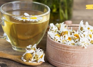 აი ამ ბალახებით შეგიძლიათ ღვიძლის მკურნალობა. როგორ? რეცეპტი იხილეთ სტატიაში