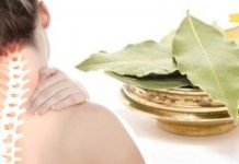 დაფნის ფოთოლი ზურგის ტკივილის საწინააღმდეგოდ: მალამოსა და ინფუზიის რეცეპტი იხილეთ სტატიაში..