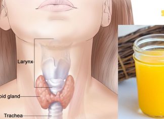 ეს წვენი ხსნაა მათთვის, ვისაც ფარისებრი ჯირკვლი აწუხებს!