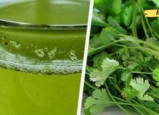 გაწუხებთ თირკმელებისა და პანკრეასის ტკივილი? მუდმივად გრძნობთ სიმწარეს პირში? ეს ბუნებრივი საშუალება აღადგენს თქვენს ჯანმრთელობას.