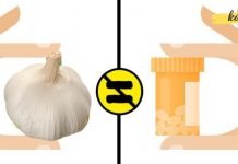 ჩვენი წინაპრების დღეგრძელობის მთავარი იარაღი ეს ბუნებრივი ანტიბიოტიკები იყო!.