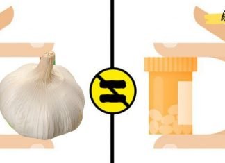 ჩვენი წინაპრების დღეგრძელობის მთავარი იარაღი ეს ბუნებრივი ანტიბიოტიკები იყო!.