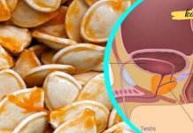 უმკურნალეთ პროსტატს, გასტრიტსა და დიაბეტს გოგრის მეშვეობით..