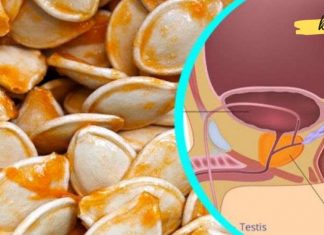 უმკურნალეთ პროსტატს, გასტრიტსა და დიაბეტს გოგრის მეშვეობით..