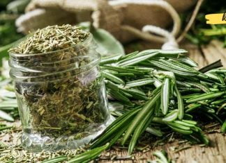 ყველაზე ძლიერი ბალახი ცერებრალური მიმოქცევის, გულის, სისხლძარღვების, თირკმელზედა ჯირკვლების, სახსრების, კანისა და თმისთვის!