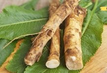 მშვენიერი ნაზავი სმენის, მხედველობისა და მეხსიერების გასაუმჯობესებლად 80%-ით