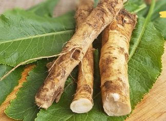 მშვენიერი ნაზავი სმენის, მხედველობისა და მეხსიერების გასაუმჯობესებლად 80%-ით