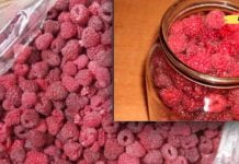 ჟოლოს ნაყენი ჩიყვის საწინააღმდეგოდ. დედამთილმა ეს დაავადება მრავალი წლის წინ განიკურნა.