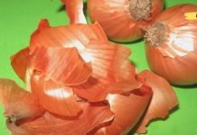 ამის წაკითხვის შემდეგ ხახვის ფურცლებს აღარ გადაყრით. ის, რაც ბევრმა არ იცის