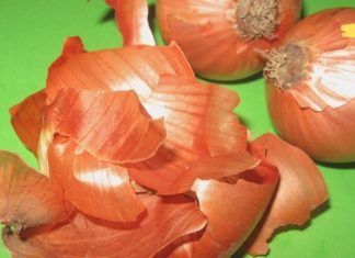 ამის წაკითხვის შემდეგ ხახვის ფურცლებს აღარ გადაყრით. ის, რაც ბევრმა არ იცის