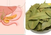 რა ეფექტს ახდენს დაფნის ფოთოლი პანკრეასზე? ეს უნდა იცოდეთ