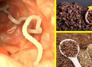 მიხაკი და სელის თესლი დაგეხმარებათ ორგანიზმიდან პარაზიტების მოშორებაში