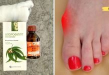 ქლოროფილიპტი არის ხელმისაწვდომი საშუალება 12 დაავადების სამკურნალოდ. აქ არის ყველაზე ეფექტური რეცეპტები