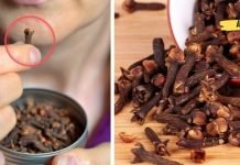 მიხაკის გამოყენების 5 გზა თქვენი ჯანმრთელობის გასაუმჯობესებლად