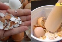 კვერცხის ნაჭუჭს სამკურნალო თვისება აქვს, ამის მერე მას აღარასოდეს გადააგდებთ!