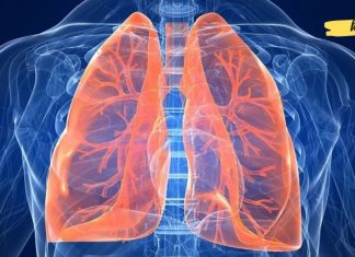 დაივიწყეთ ხველა! როგორ გაასუფთაოთ ფილტვები მოწევის შემდეგ სულ რაღაც სამ დღეში …