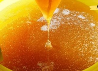 თაფლის 10 უჩვეულო თვისება, რომლის არსებობის შესახებ თქვენ არასოდეს იცოდით! ყველასთვის სასარგებლოა იცოდეს.