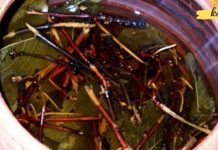 თუ შარდის შეუკავებლობა გაწუხებთ, მაშინ ეს რეცეპტი უნდა გამოიყენოთ! ეს თქვენთვის ხსნა იქნება..