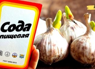 ამ რეცეპტმა უკვე გადაარჩინა 100-ზე მეტი ადამიანი! ხანგრძლივი ავადმყოფობის დროს, გამოიყენეთ სოდა და ნიორი!