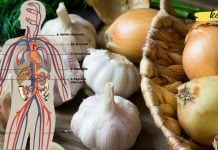 გაისუფთავეთ არტერიები ნიორისა და ხახვის გამოყენებით! საუკეთესო რეცეპტები!