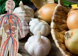 გაისუფთავეთ არტერიები ნიორისა და ხახვის გამოყენებით! საუკეთესო რეცეპტები!