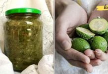 როგორ უნდა მოვამზადოთ ფეიხოა ფარისებრი ჯირკვლის სამკურნალოდ? ეს უნდა იცოდეთ