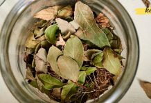 თუ ეს დაავადებები გაწუხებთ, მაშინ უნდა მოერიდოთ დაფნის ფოთოლის გამოყენებას. ეს უნდა იცოდეთ