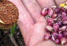 თუ სხეულიდან ცხიმისა და პარაზიტების მოცილება გსურთ, მაშინ ეს უნდა გამოიყენოთ!