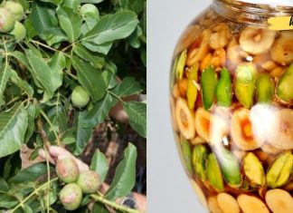 როგორ გამოვიყენოთ მწვანე კაკალი ჯანმრთელობის გასაუმჯობესებლად? ეს ძალიან მარტივია