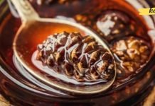 როგორ მოვამზადოთ გირჩის ჯემი? ძალიან სასარგებლო რეცეპტი