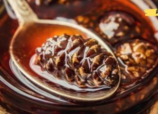 როგორ მოვამზადოთ გირჩის ჯემი? ძალიან სასარგებლო რეცეპტი