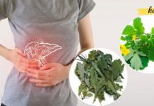 ქრისტესისხლას ნაყენი ძალიან კარგი საშუალებაა ღვიძლის ციროზის სამკურნალოდ! ეს აქამდე უნდა მეცადა