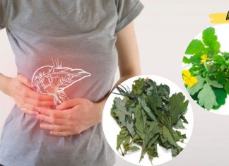 ქრისტესისხლას ნაყენი ძალიან კარგი საშუალებაა ღვიძლის ციროზის სამკურნალოდ! ეს აქამდე უნდა მეცადა