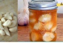 აი რა დაემართება თქვენს ორგანიზმს თუ უზმოზე თაფლს და ნიორს შეჭამთ…